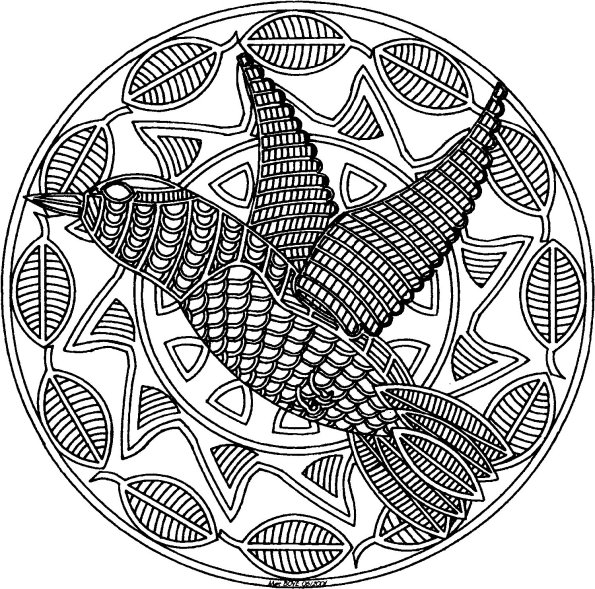 Coloring page: Humming-bird (Animals) #3806 - Free Printable Coloring Pages