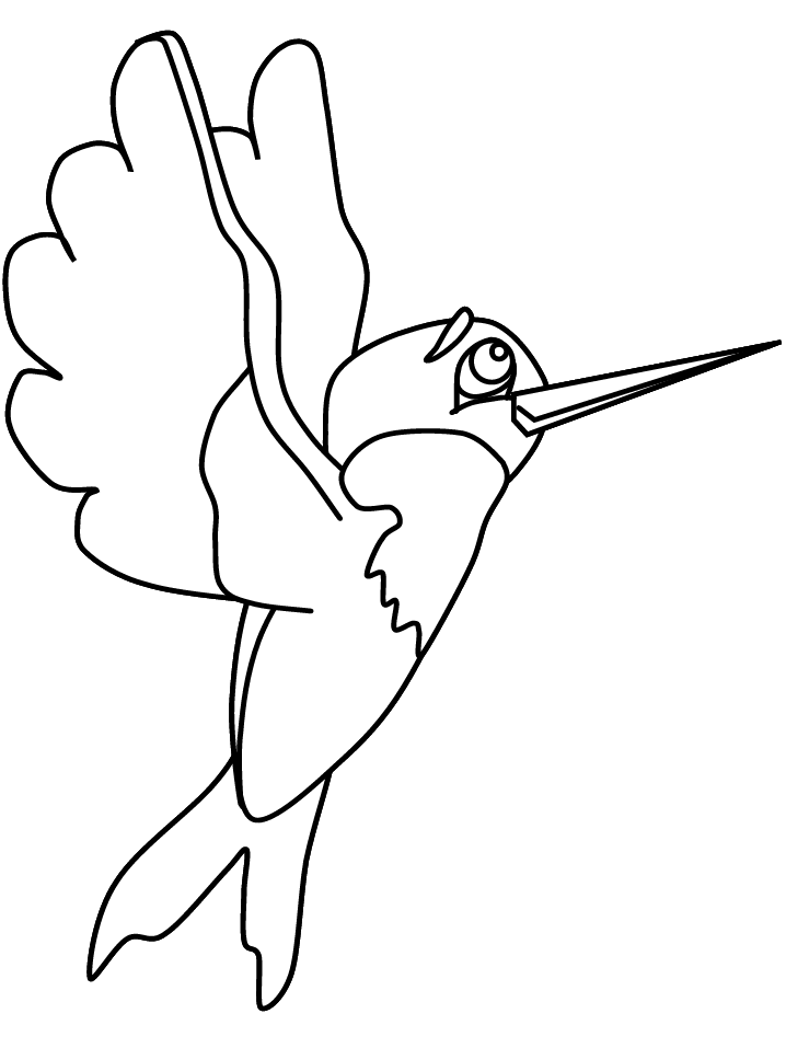 Coloring page: Humming-bird (Animals) #3810 - Free Printable Coloring Pages