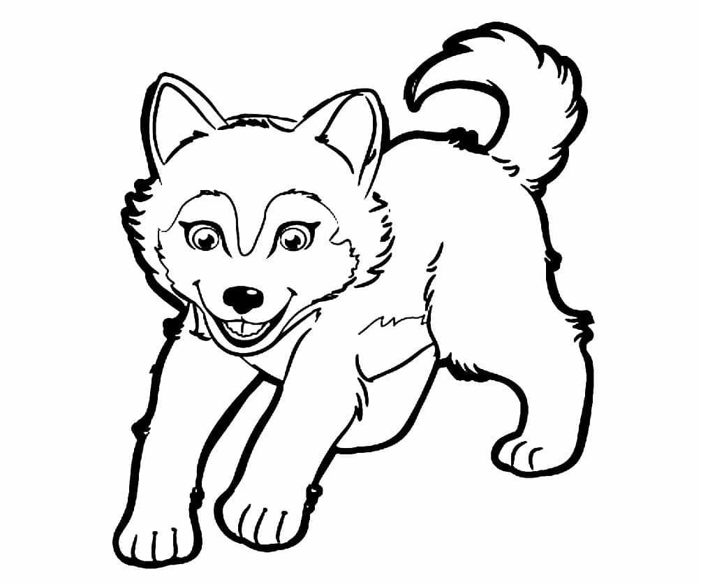 Free printable Husky coloring page #189114 from Animals collection