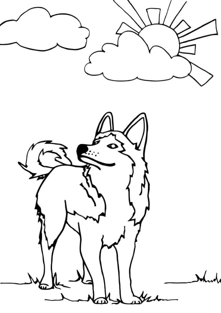 Free printable Husky coloring page #189116 from Animals collection