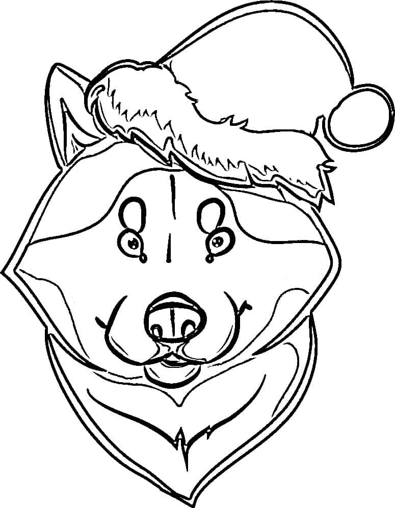 Free printable Husky coloring page #189118 from Animals collection Free printable Husky coloring page #189118 from Animals collection