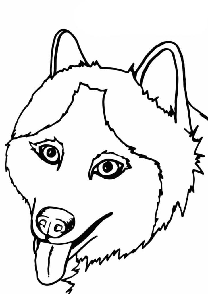 Free printable Husky coloring page #189120 from Animals collection