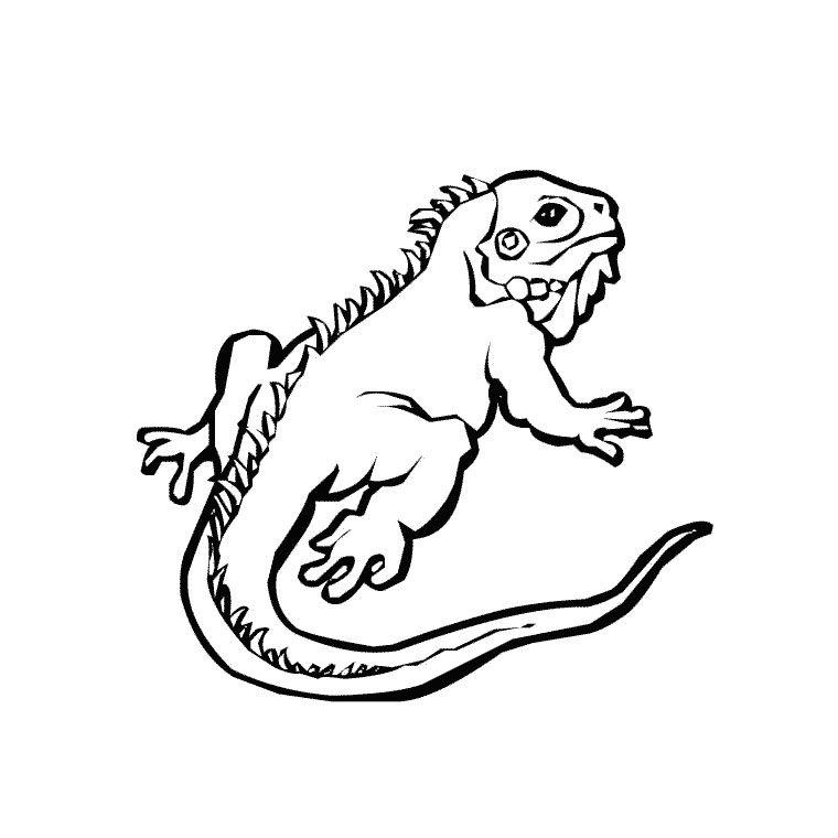 Iguana 1 Animals – Printable coloring pages