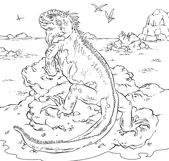 Coloring page: Iguana (Animals) #8913 - Free Printable Coloring Pages