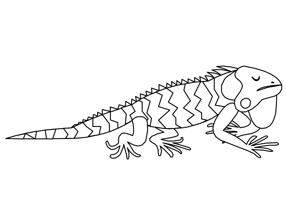 Coloring page: Iguana (Animals) #8914 - Free Printable Coloring Pages