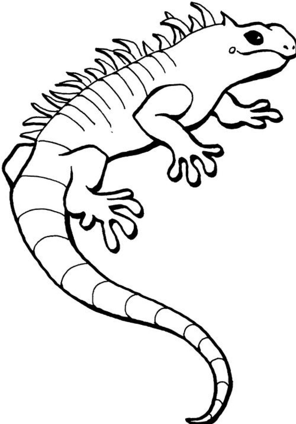 Coloring page: Iguana (Animals) #8915 - Free Printable Coloring Pages