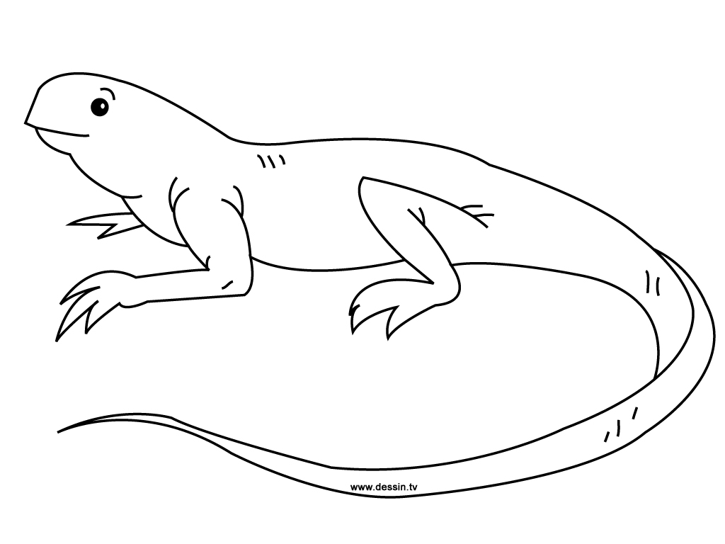 Coloring page: Iguana (Animals) #8917 - Free Printable Coloring Pages