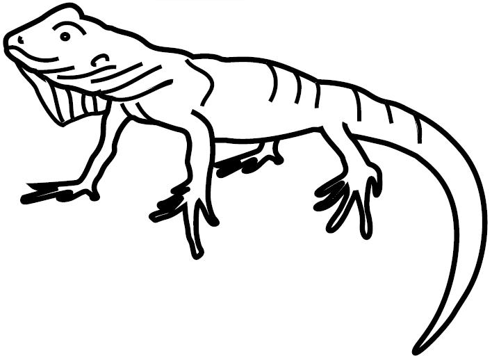 Coloring page: Iguana (Animals) #8944 - Free Printable Coloring Pages