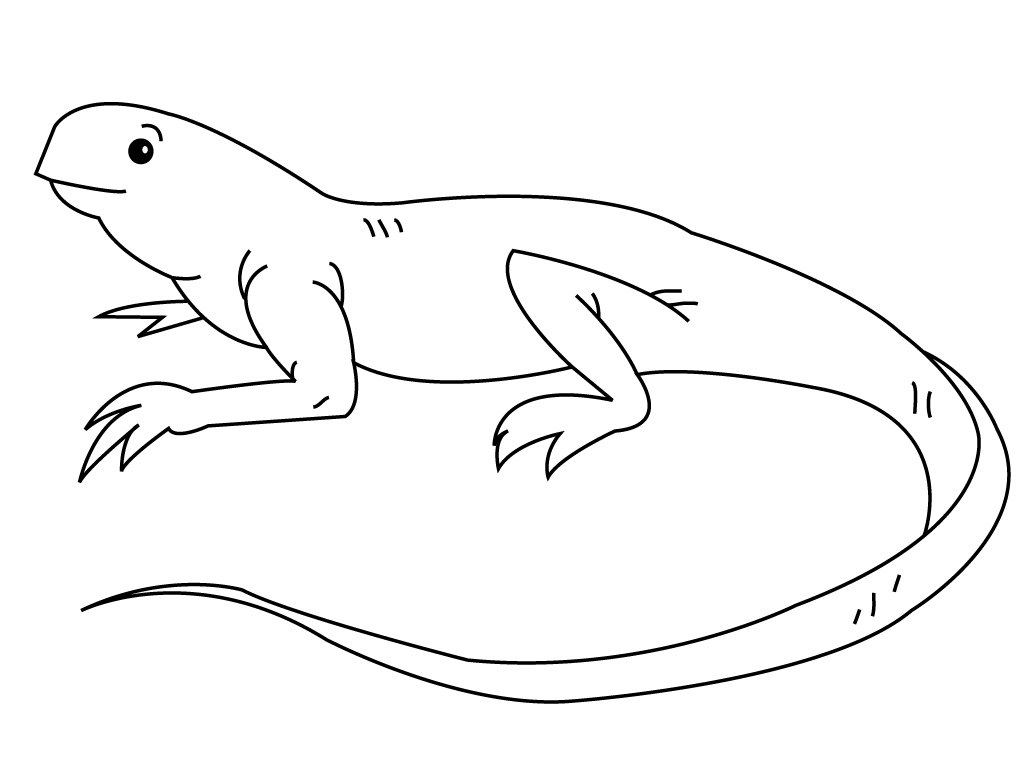 Coloring page: Iguana (Animals) #8951 - Free Printable Coloring Pages
