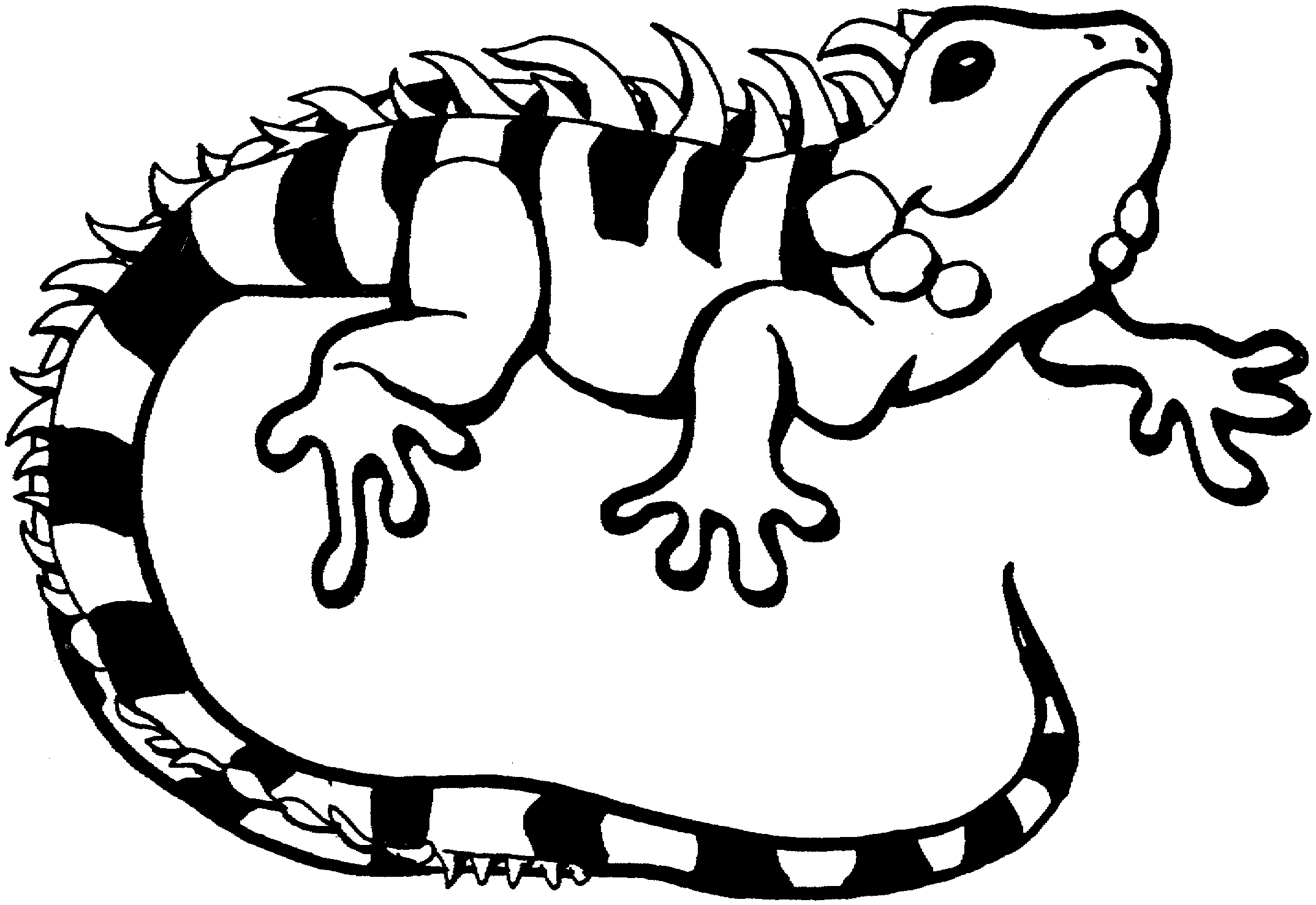 iguana coloring pages printable