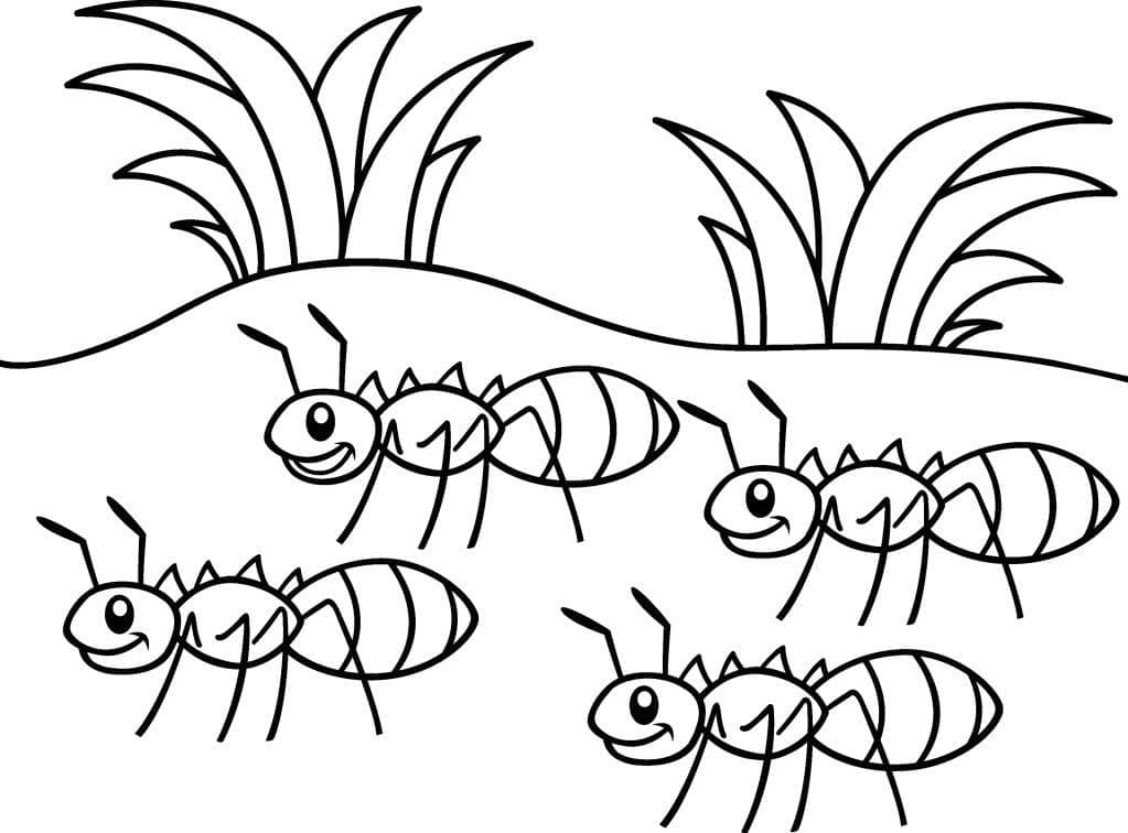 Free printable Insect coloring page #179746 from Animals collection