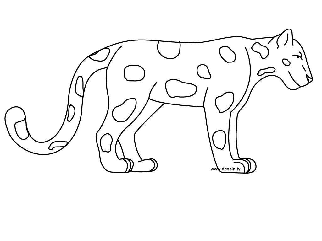 Coloring page: Jaguar (Animals) #9000 - Free Printable Coloring Pages