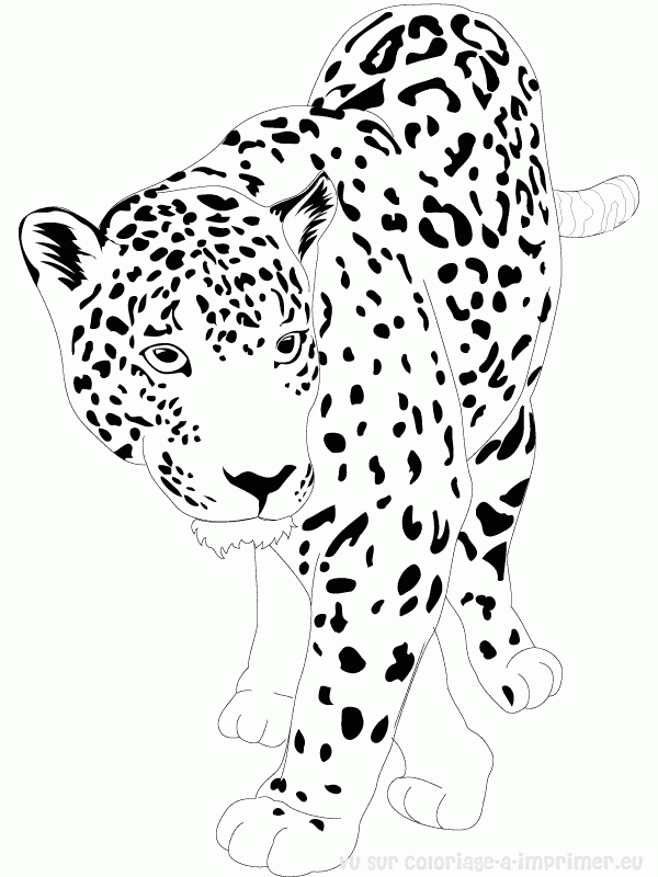 Coloring page: Jaguar (Animals) #9002 - Free Printable Coloring Pages