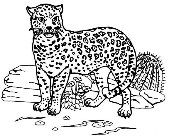 Coloring page: Jaguar (Animals) #9005 - Free Printable Coloring Pages