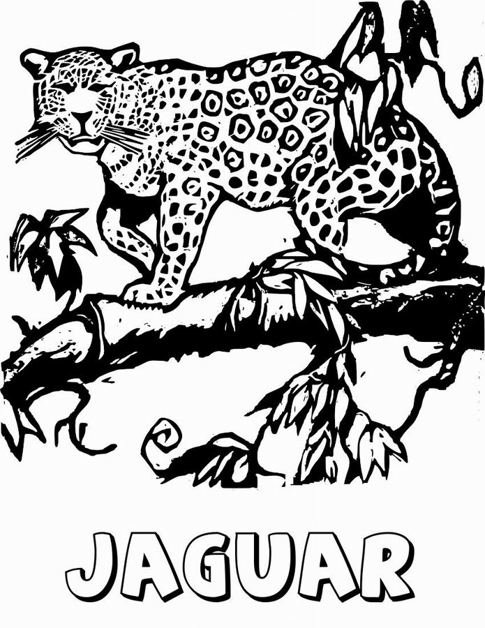 Coloring page: Jaguar (Animals) #9008 - Free Printable Coloring Pages