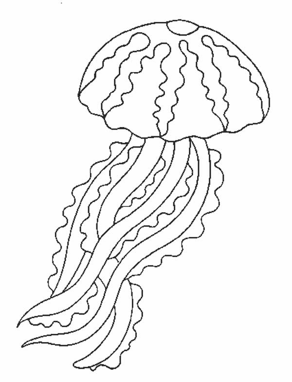 Coloring page: Jellyfish (Animals) #20380 - Free Printable Coloring Pages