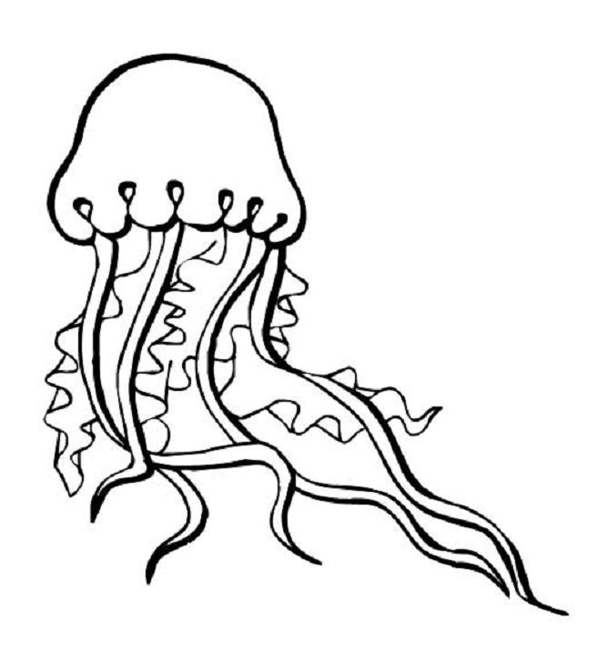 Coloring page: Jellyfish (Animals) #20381 - Free Printable Coloring Pages