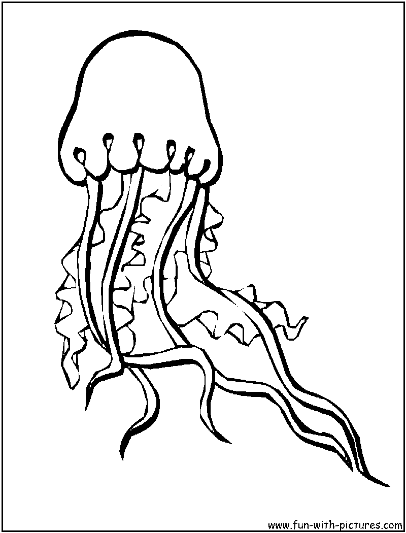 Coloring page: Jellyfish (Animals) #20394 - Free Printable Coloring Pages