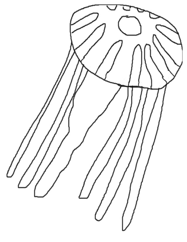 Coloring page: Jellyfish (Animals) #20409 - Free Printable Coloring Pages
