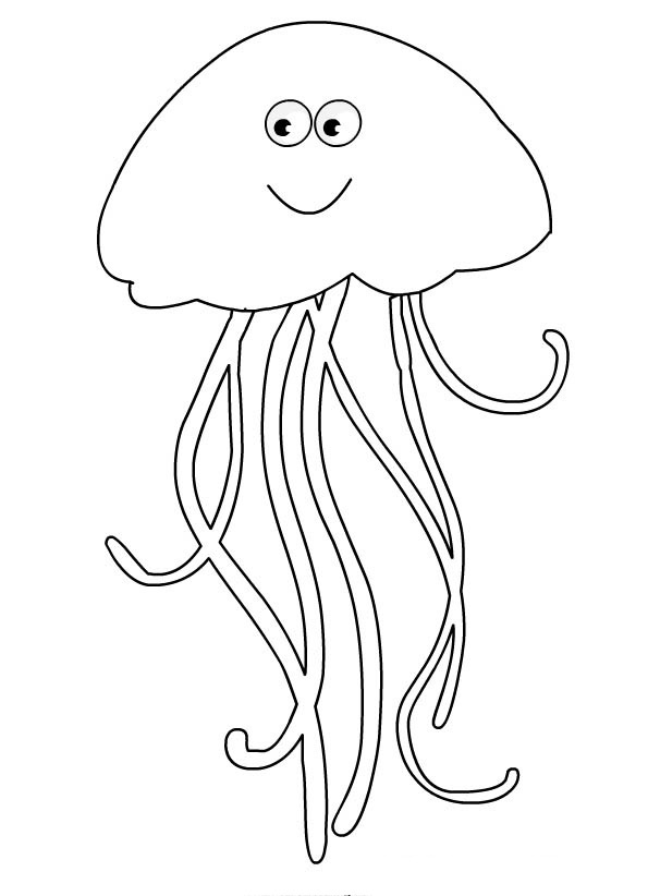 Drawings Jellyfish Animals Printable Coloring Pages