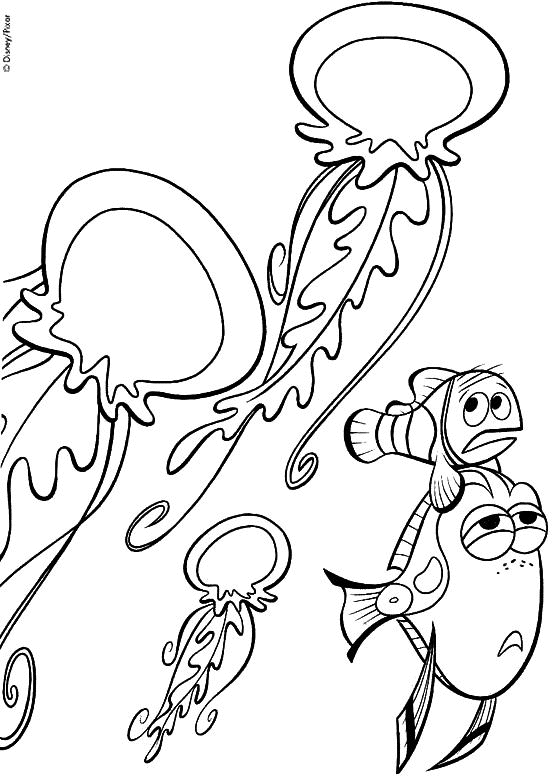Coloring page: Jellyfish (Animals) #20445 - Free Printable Coloring Pages