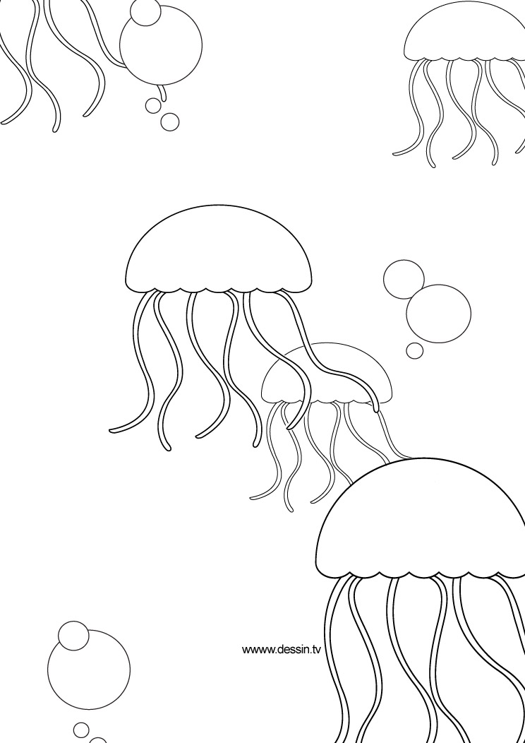 Coloring page: Jellyfish (Animals) #20481 - Free Printable Coloring Pages