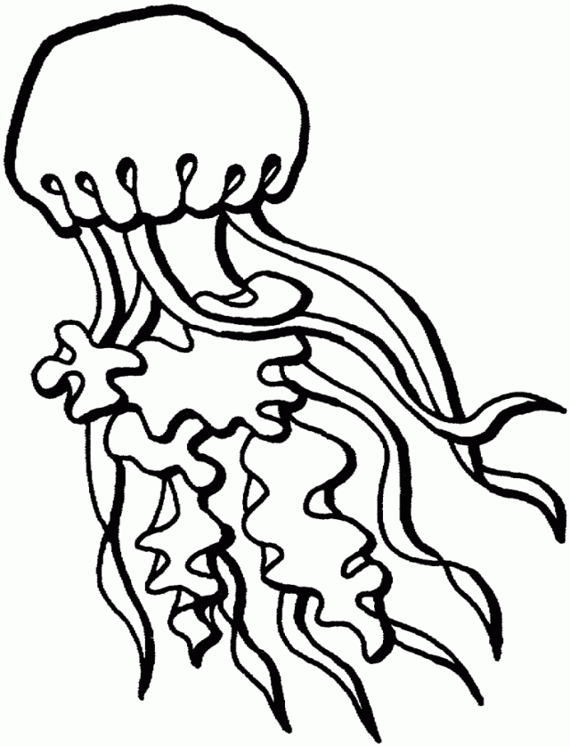Coloring page: Jellyfish (Animals) #20510 - Free Printable Coloring Pages