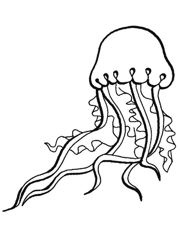 Coloring page: Jellyfish (Animals) #20511 - Free Printable Coloring Pages