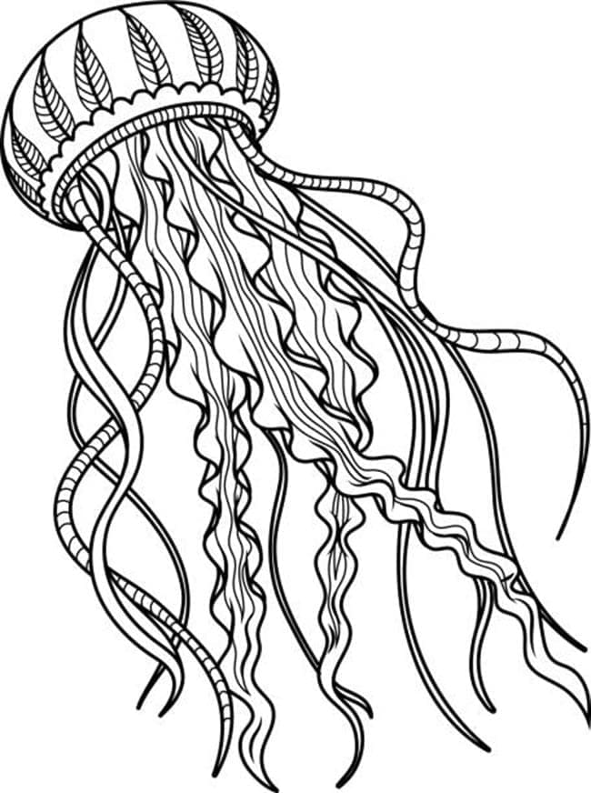 Free printable Jellyfish coloring page #208793 from Animals collection