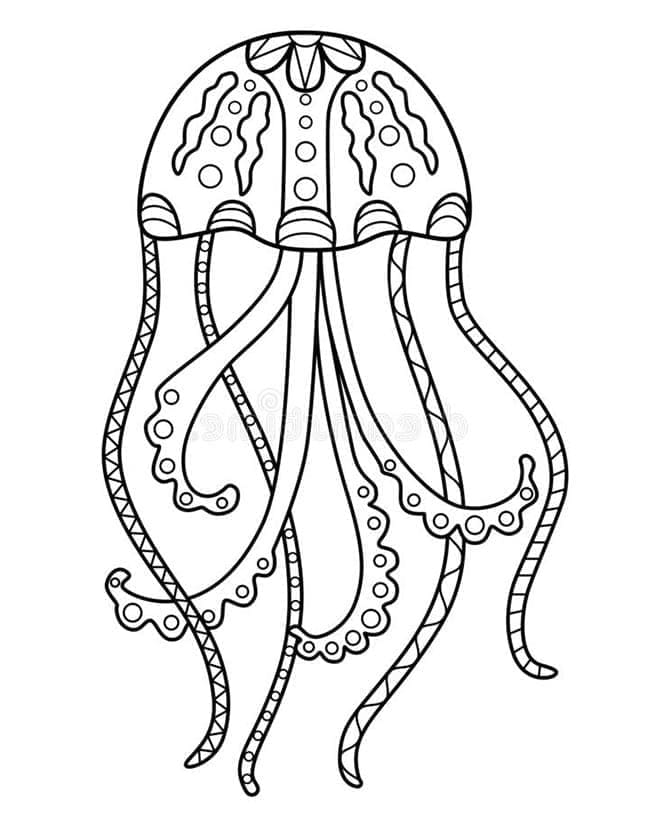 Free printable Jellyfish coloring page #208806 from Animals collection