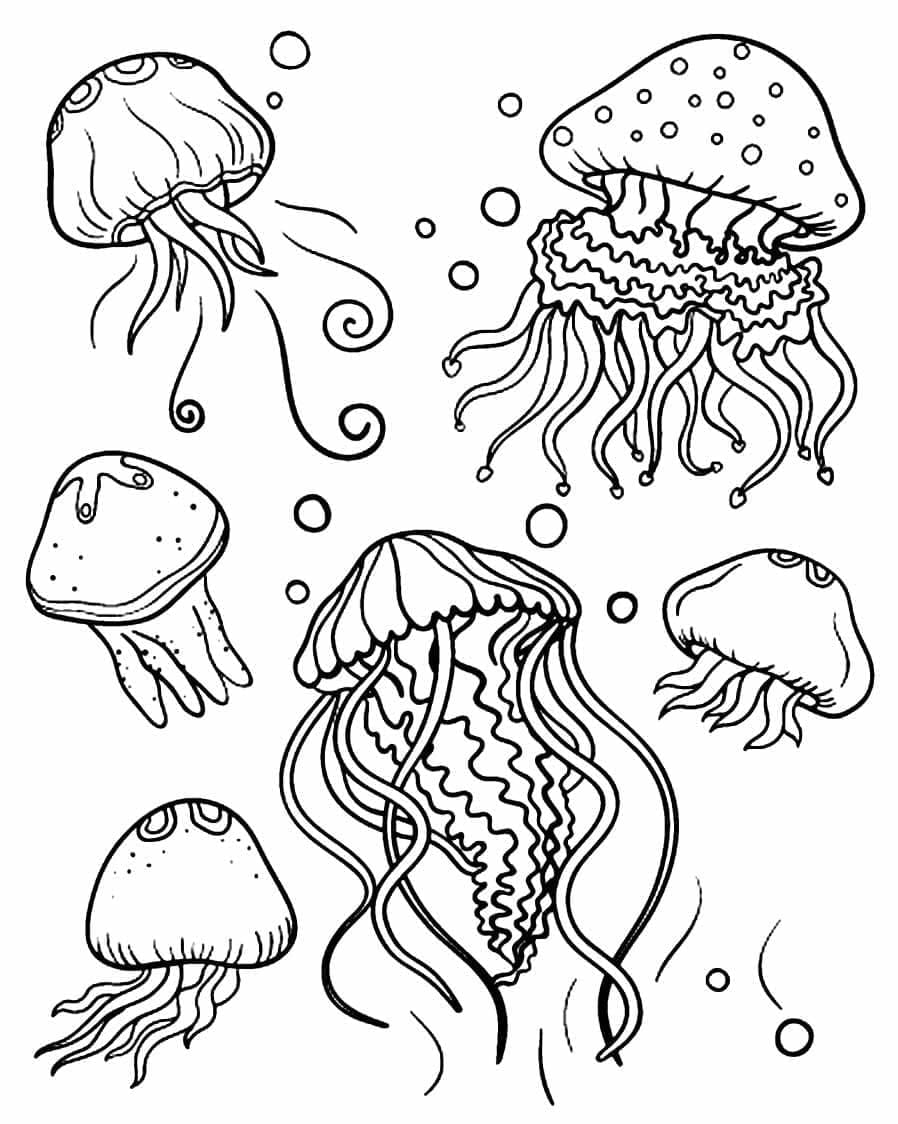 Free printable Jellyfish coloring page #208815 from Animals collection