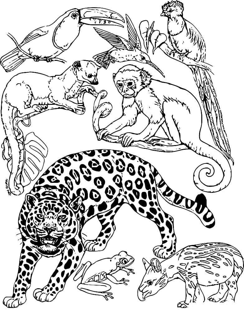 Free printable Jungle coloring page #181002 from Animals collection Free printable Jungle coloring page #181002 from Animals collection