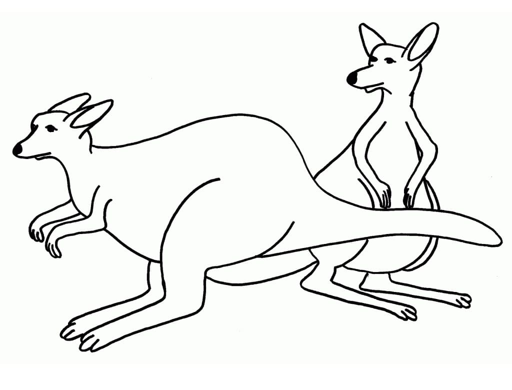 Free printable Kangaroo coloring page #179664 from Animals collection Free printable Kangaroo coloring page #179664 from Animals collection