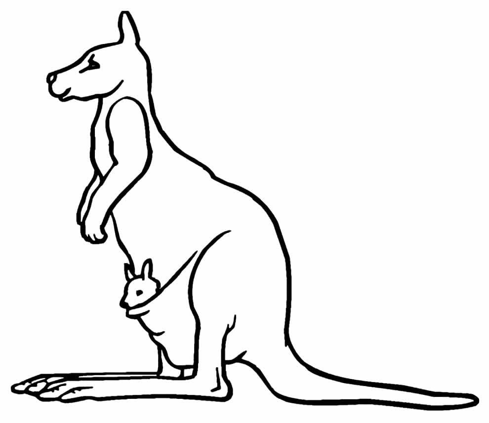 Free printable Kangaroo coloring page #179669 from Animals collection