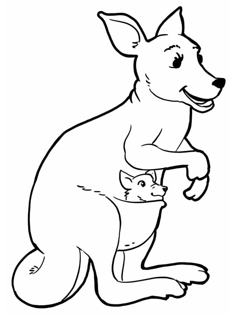 Free printable Kangaroo coloring page #179671 from Animals collection