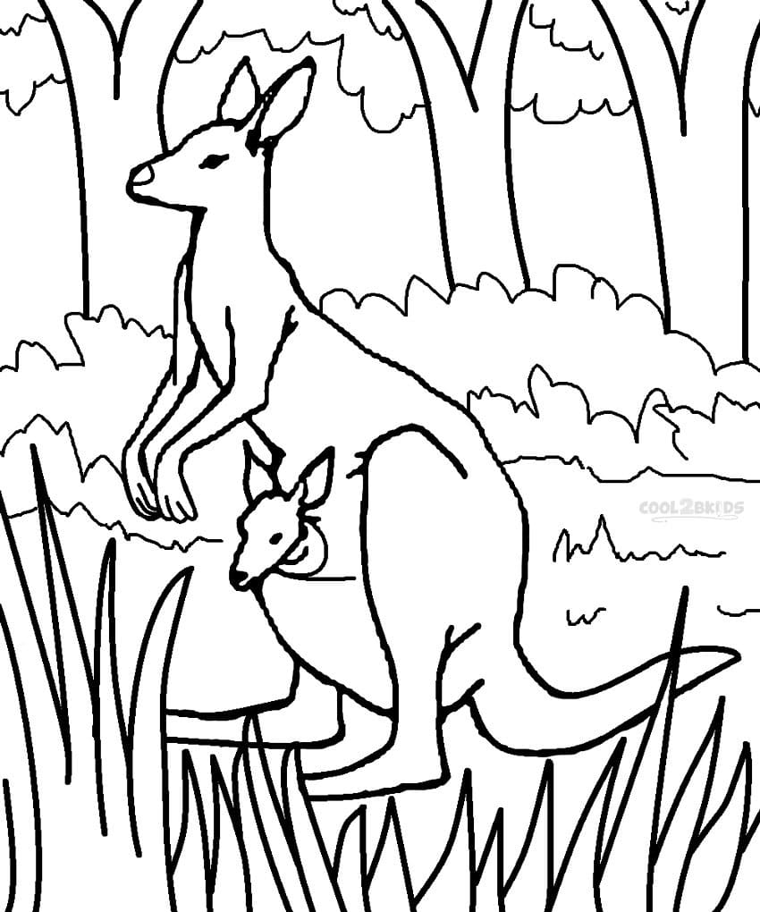 Free printable Kangaroo coloring page #179672 from Animals collection