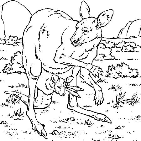 Free printable Kangaroo coloring page #179689 from Animals collection