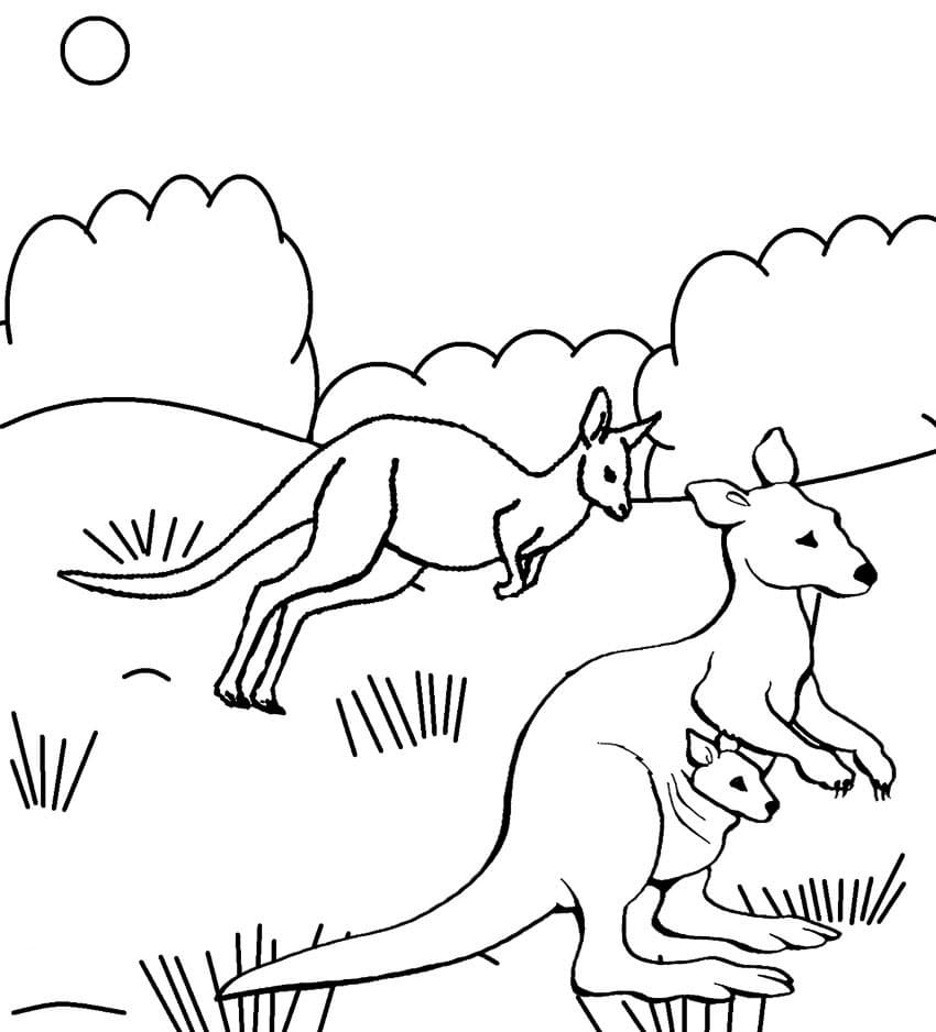 Free printable Kangaroo coloring page #179691 from Animals collection