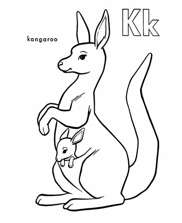 Coloring page: Kangaroo (Animals) #9122 - Free Printable Coloring Pages