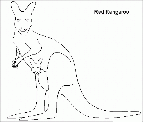 Coloring page: Kangaroo (Animals) #9123 - Free Printable Coloring Pages