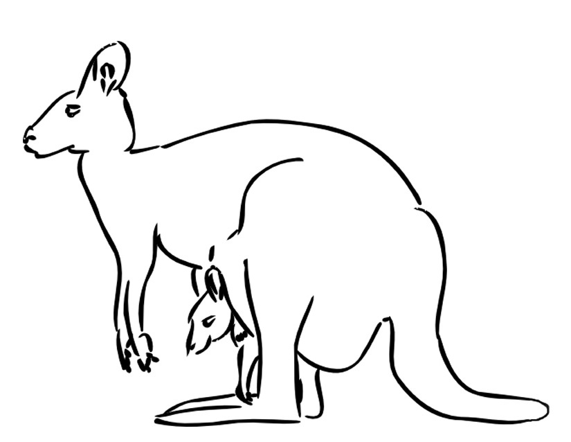 Coloring page: Kangaroo (Animals) #9130 - Free Printable Coloring Pages