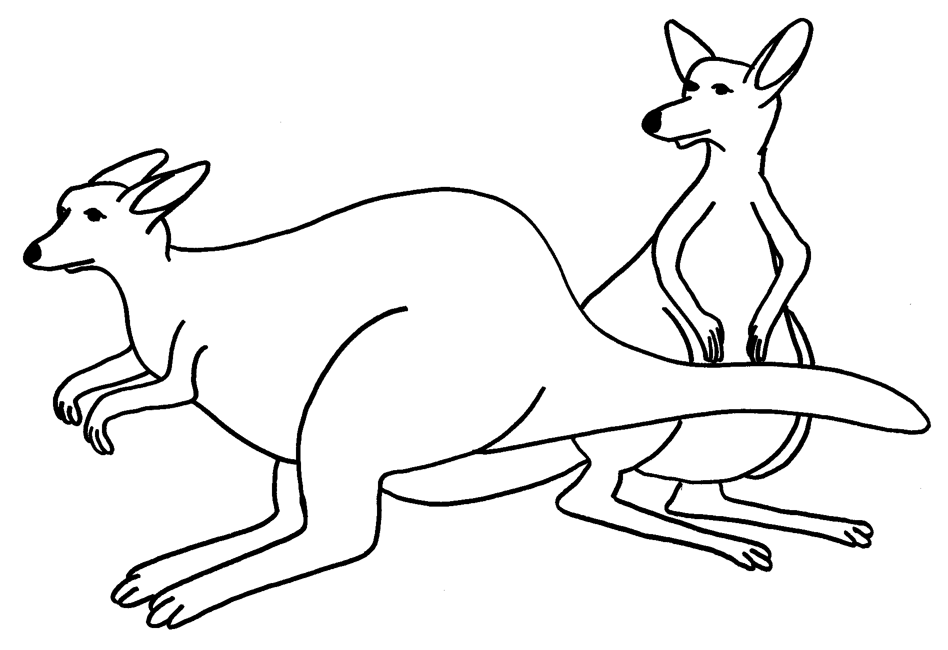 Coloring page: Kangaroo (Animals) #9136 - Free Printable Coloring Pages