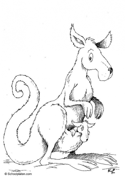 Coloring page: Kangaroo (Animals) #9147 - Free Printable Coloring Pages