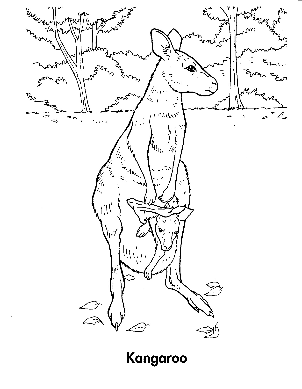 Coloring page: Kangaroo (Animals) #9164 - Free Printable Coloring Pages
