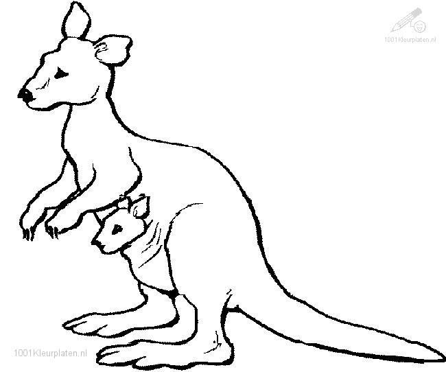Coloring page: Kangaroo (Animals) #9172 - Free Printable Coloring Pages