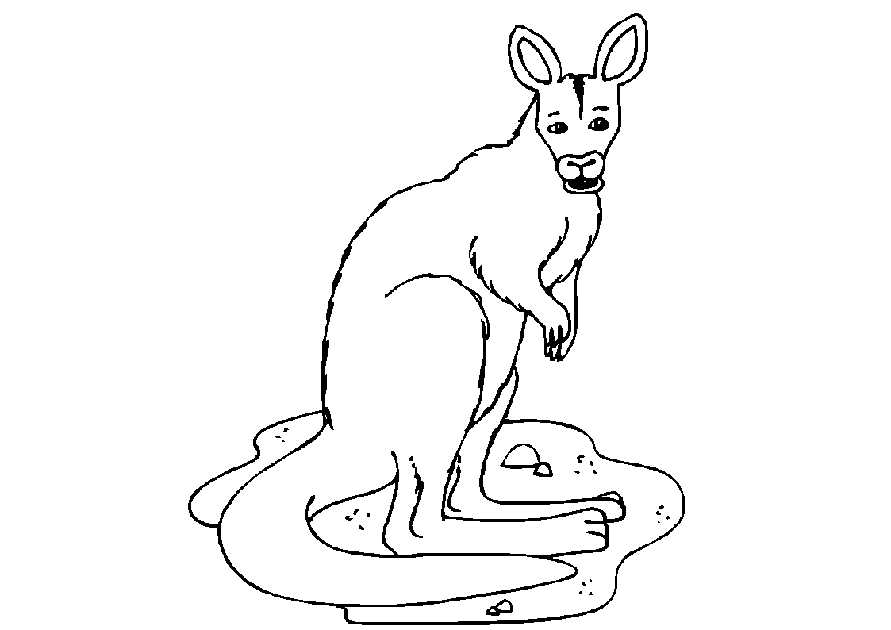 Coloring page: Kangaroo (Animals) #9184 - Free Printable Coloring Pages