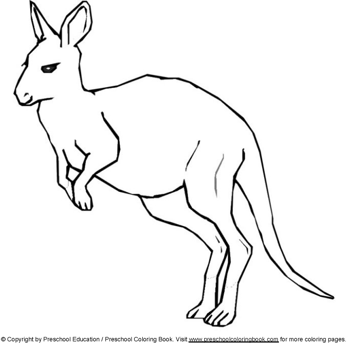 Coloring page: Kangaroo (Animals) #9193 - Free Printable Coloring Pages