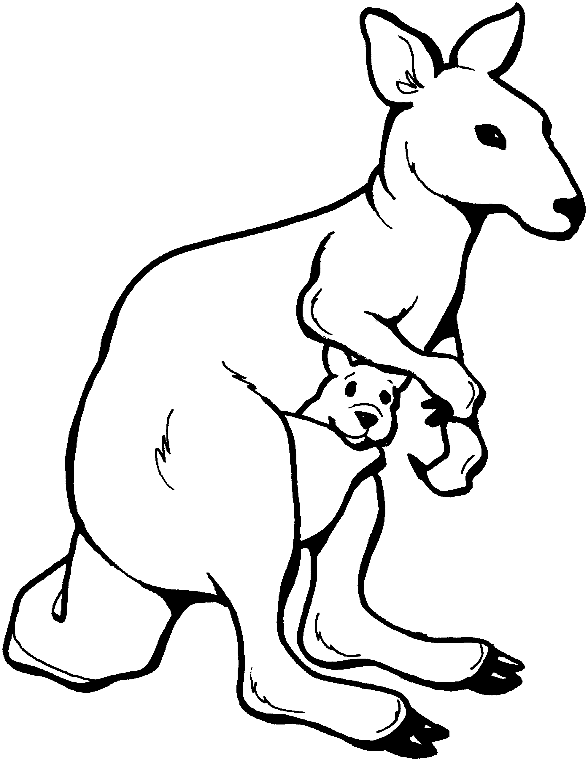 Coloring page: Kangaroo (Animals) #9195 - Free Printable Coloring Pages