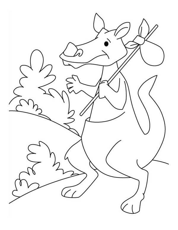 Coloring page: Kangaroo (Animals) #9252 - Free Printable Coloring Pages