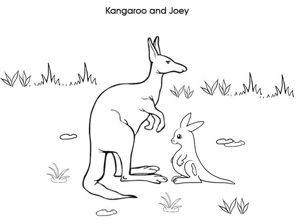 Coloring page: Kangaroo (Animals) #9276 - Free Printable Coloring Pages
